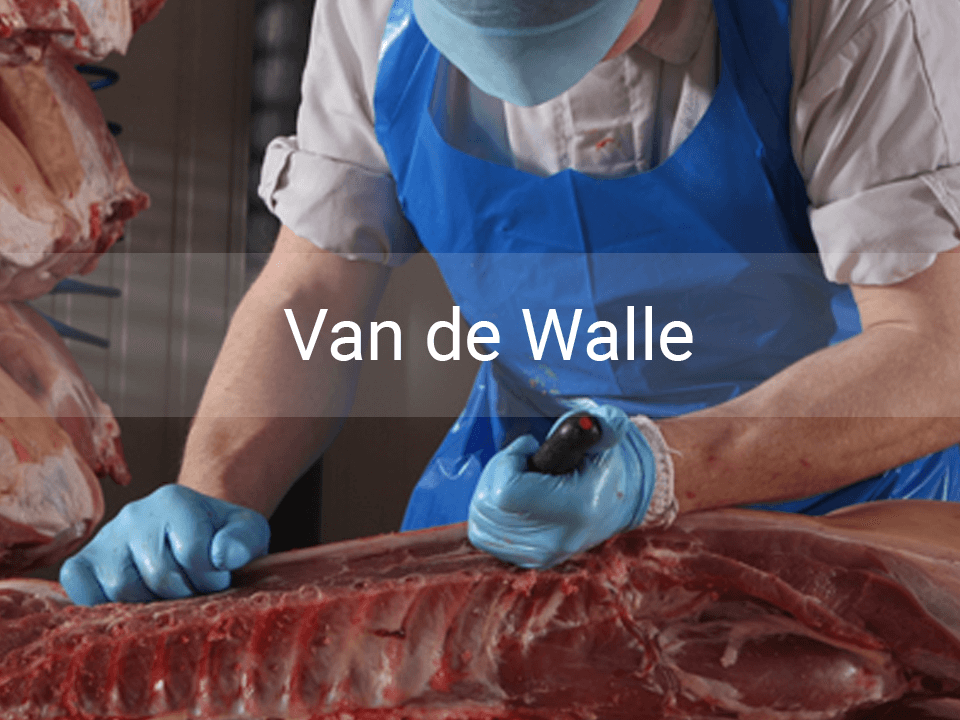 Van de Walle