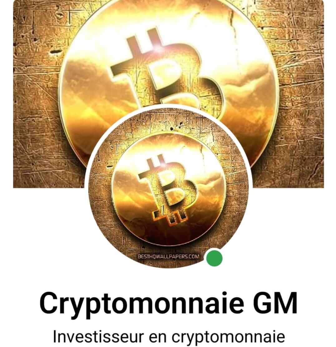 Cryptomonnaie – Gustin Michael