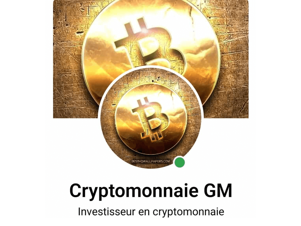 Cryptomonnaie - Gustin Michael